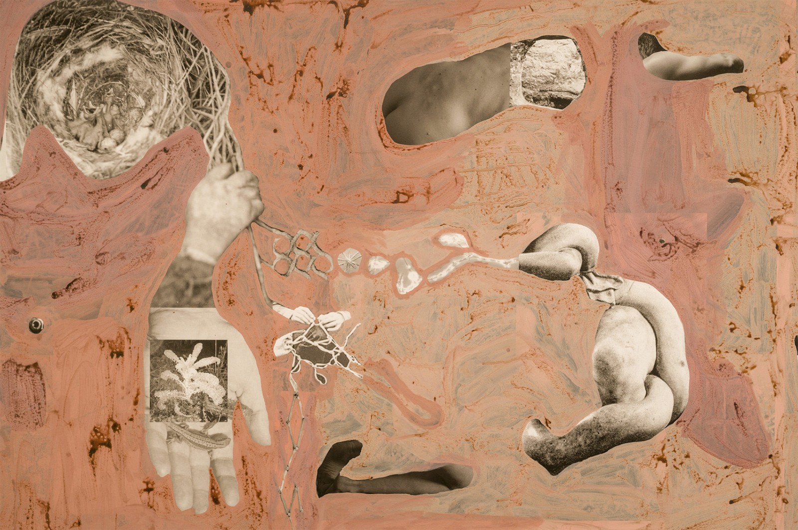 圖十二、《地勢(shì) (關(guān)于時(shí)間，關(guān)于身體)》 (細(xì)節(jié)圖)，O?zlem Alt?n，2019